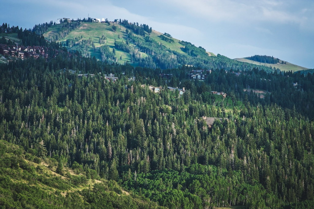 Deer Valley Bald Mountain Park City Utah Michael Bradshaw