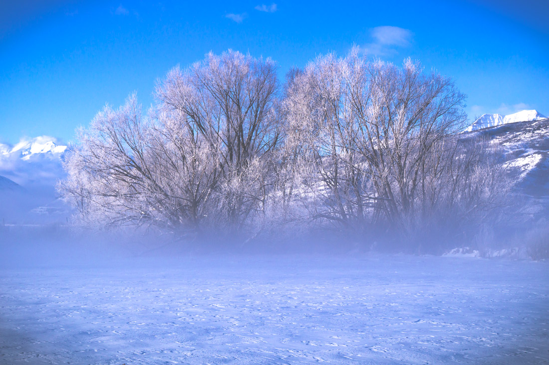 Foggy Midway Utah Winterscape