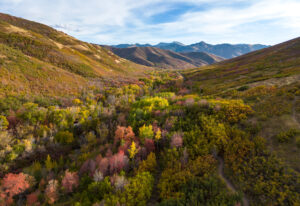 East Canyon Fall Colors Utah